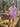 ROSEWATER CHARM FRILL SHORTS Joseph Copenhagen 