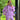 SUMMERHOUSE Sari shirt Pink Skjorter og toppe Joseph CPH