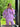 SUMMERHOUSE Sari shirt Pink Skjorter og toppe Joseph CPH